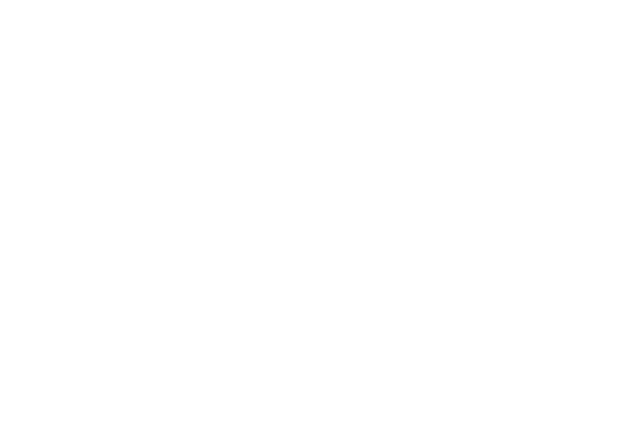 سيلز نينجا